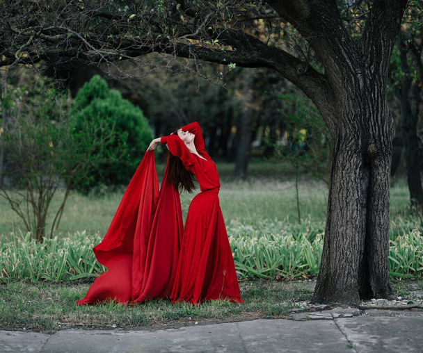 赤いドレスの女性の魅力自然木高級ポーズ - 写真・画像