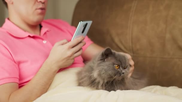 Een man met een Britse kat zit op de bank, gebruikt een mobiele telefoon - Video