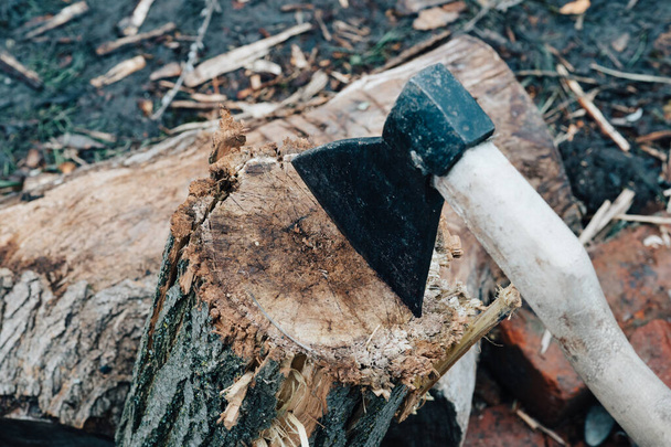 збирання дров для зимової сокири природа на відкритому повітрі для вогню
 - Фото, зображення