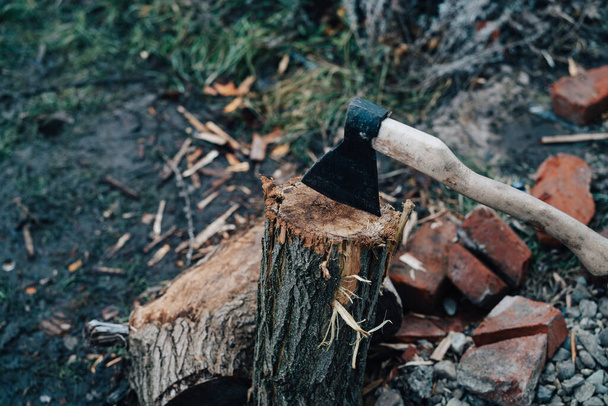 machado se destaca no toco da árvore cortando a colheita de lenha para o inverno ao ar livre - Foto, Imagem