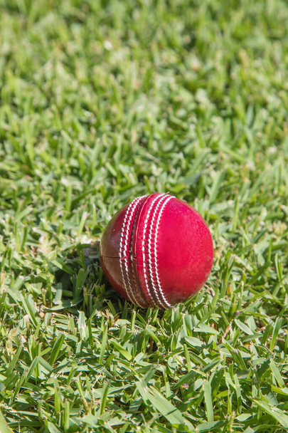 Rote Cricketkugel auf grünem Gras - Foto, Bild