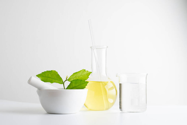 laboratory and research with alternative herb medicine natural skin care - Photo, image