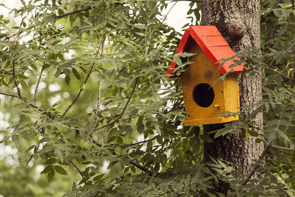 Yellow bird house on tree - Photo, Image