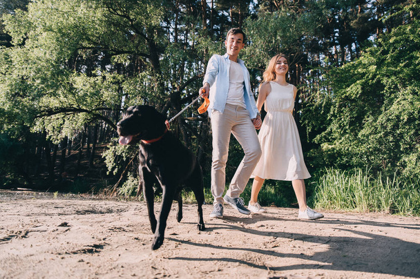 lovely couple is walking with a black labrodor on a leash. lovers smile and watch the dog. a walk in the park with a purebred dog. pastime of lovers. young happy people. - Foto, Imagen