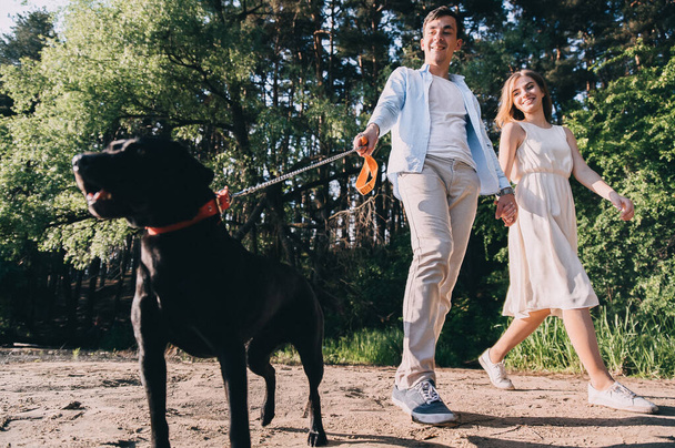 lovely couple is walking with a black labrodor on a leash. lovers smile and watch the dog. a walk in the park with a purebred dog. pastime of lovers. young happy people. - Foto, Imagem