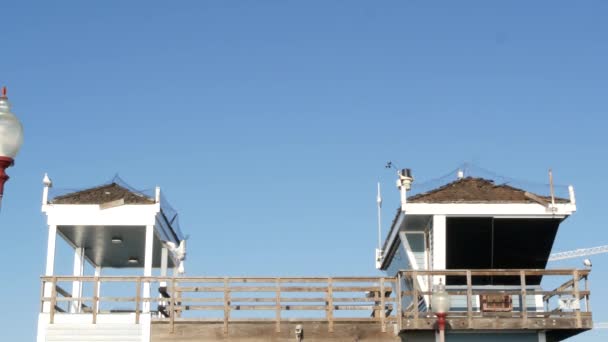 Zeemeeuw vogel door badmeester toren op pier, Californië, USA. Reddingswacht wacht hut en blauwe lucht. - Video