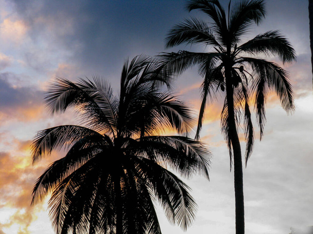Silhouette von Kokospalmen am Strand von Port Blair in den Andamanen und Nikobaren Indien - Foto, Bild