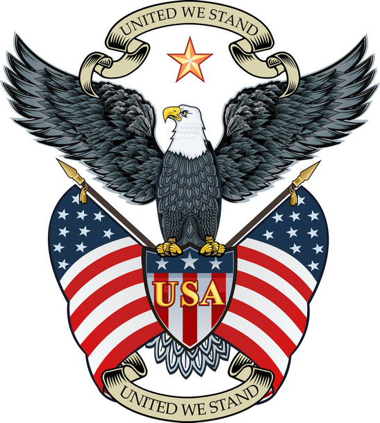 Bandera de Estados Unidos Star - Vector, imagen