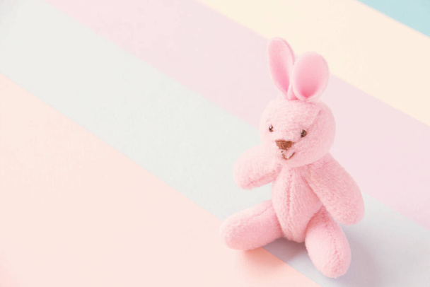 Kleines Kaninchen auf Pastellpapier Hintergrund - Foto, Bild