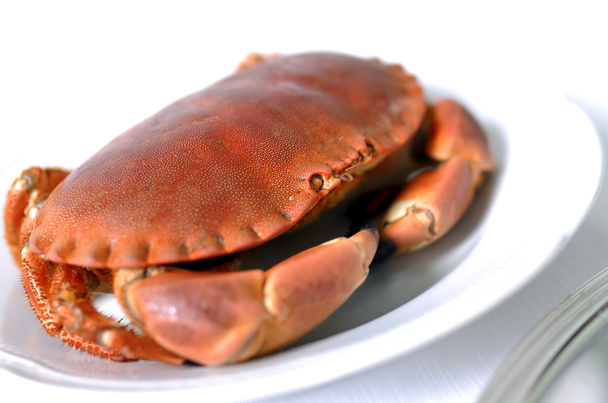 cooked crabs on white plate - Photo, Image