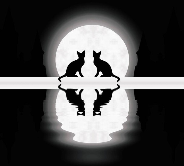 A pair of cats sitting at a river against the background of the full shining moon and the old town, clip art  - Photo, Image