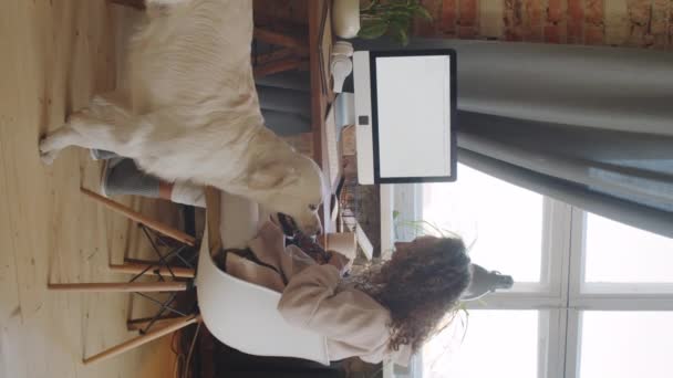Pystysuora laukaus nuori nainen pelaa hinaaja suloinen kultainen noutaja koira istuessaan työpöytä kotitoimistossa - Materiaali, video