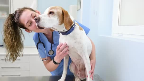 Mladá šťastná veterinární sestra s úsměvem při hraní se psem. - Záběry, video