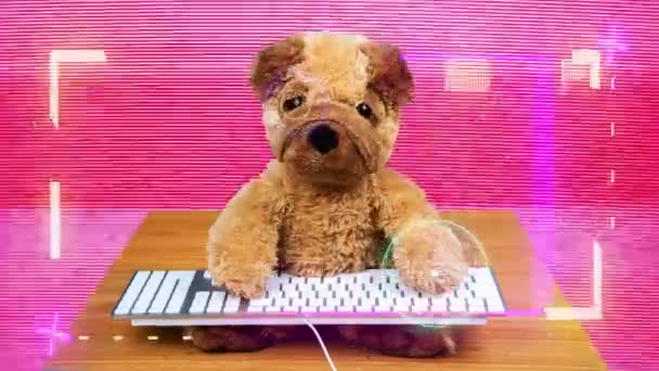 Teddy beer typen op toetsenbord - Video