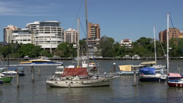 Ferry passing by at the Brisbane river - Footage, Video