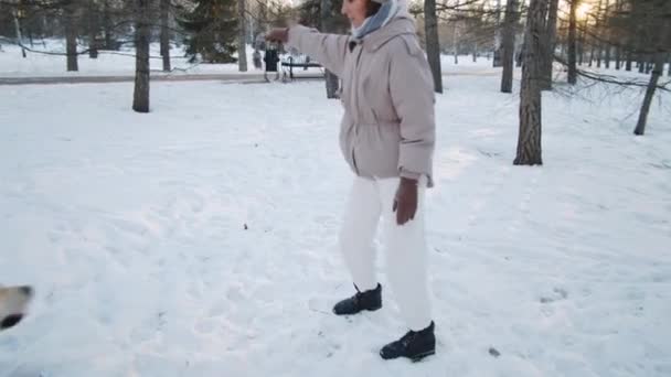 PAN strzał kobiety w odzieży wierzchniej trzymając zabawki liny podczas zabawy golden retriever pies skacze, próbując go złapać i działa na śniegu w parku w zimowy dzień - Materiał filmowy, wideo