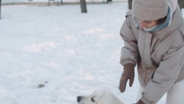 Молодая женщина в верхней одежде ходьба и ласкание прекрасный золотистый ретривер собака жевательная деревянная палка во время прогулки в зимний день - Кадры, видео