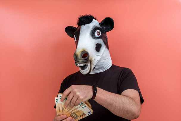 человек со смешной коровьей латексной маской считает деньги с розовым фоном - Фото, изображение