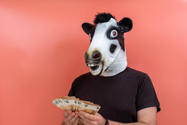 человек со смешной коровьей латексной маской считает деньги с розовым фоном - Фото, изображение
