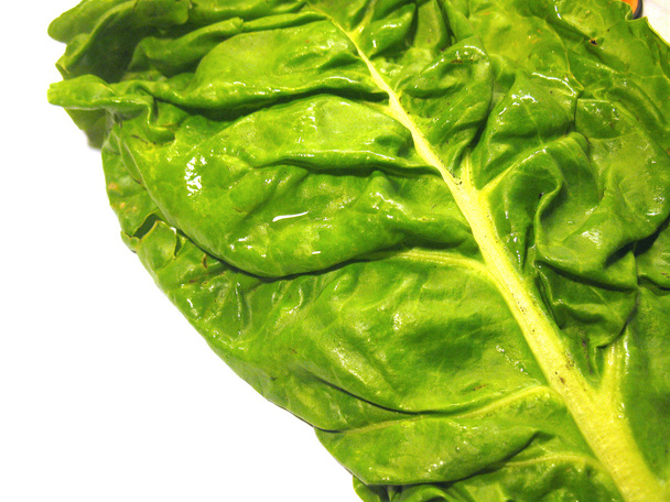 Chard leaf - Foto, Bild