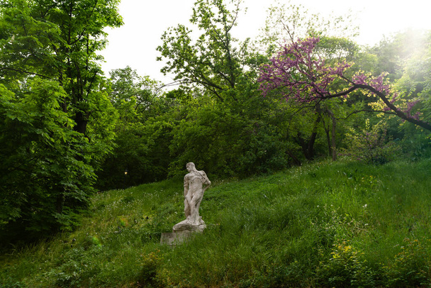 Ősi európai szobor egy gyönyörű kertben cseresznyevirág fával - Fotó, kép