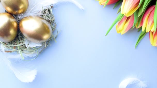 Χρώμα αυγού. Χαρούμενη πασχαλινή διακόσμηση: χρυσά χρωματιστά αυγά σε καλάθι με ανοιξιάτικες τουλίπες, λευκά φτερά σε παστέλ μπλε φόντο. Μινιμαλιστικό σχέδιο αυγού, μοντέρνο πρότυπο top view - Πλάνα, βίντεο