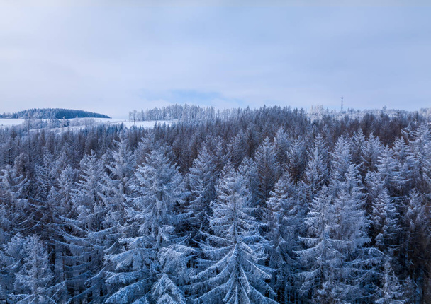 美しい冬の森の木々の空中トップダウンビュー。雪に覆われた霜の多い木を発芽させます。冬の自然、凍結した白い木の上。トップビューカメラ、雪景色。ドローン航空便、チェコ共和国、ヨーロッパ - 写真・画像