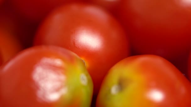 Macro vista de tomates podridos - Metraje, vídeo
