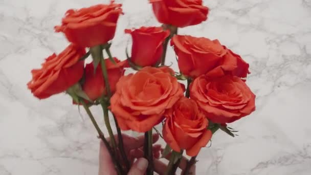 Květinářství tekoucí červené růže pro kytice uspořádání. - Záběry, video