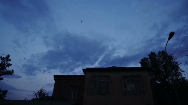 Mavi gökyüzünde evin etrafında dönen kuş sürüsü - 4K - Video, Çekim