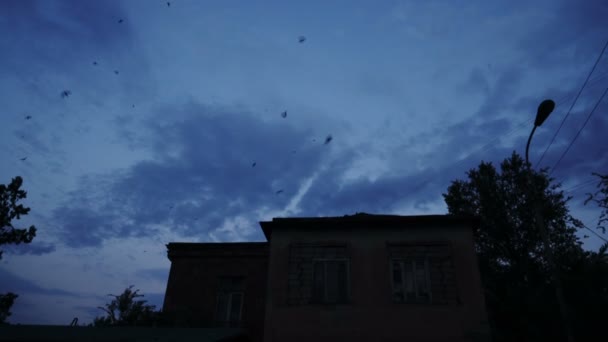 Σμήνη πουλιών που κάνουν κύκλους πάνω από το σπίτι στον γαλάζιο ουρανό - 4K - Πλάνα, βίντεο