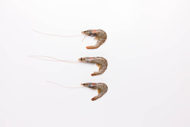 top view of fresh raw shrimps on white background - Photo, image