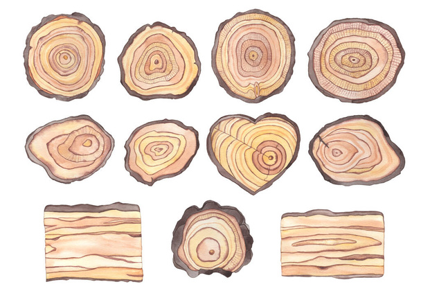 Watercolor Wooden Slices and sign boards Collection clipart isolated - Photo, Image