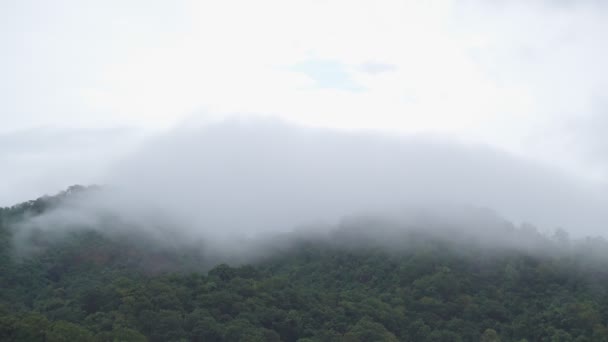 Footage B Roll Nebel Zeitlupe, die sich über den hohen Berg bewegt. Regennebel zieht auf. Natur in der nassen Regenzeit - Filmmaterial, Video