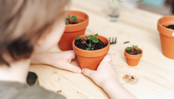 Gardeners criança vaso planta - Foto, Imagem