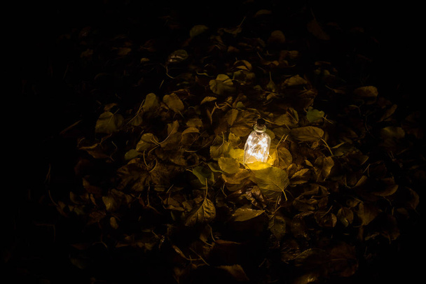 Bela vista de garrafa com luz à noite no jardim. Lâmpada Fada mágica poção de poeira em garrafa na floresta. Longa exposição. Foco seletivo - Foto, Imagem