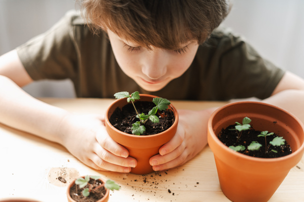 Ogrodnicy dziecięcy roślin doniczkowych - Zdjęcie, obraz