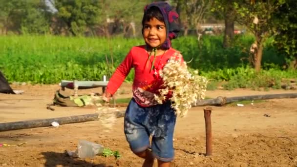 エクスタシーインディアンの子供モリンガやドラムスティックの木の花の鼻で歩く。陽気子供とともに白い花自然. - 映像、動画
