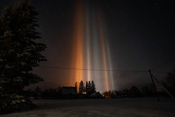 Paesaggio invernale con aurora boreale sopra alberi innevati, notte  - Foto, immagini