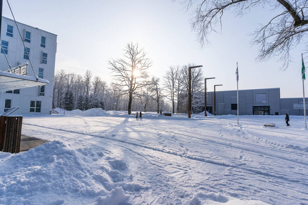 Современный зал для мероприятий в зимнем парке в дневное время, г. Йохви, Эстония - Фото, изображение