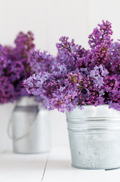 Due mazzi di fiori lilla
  - Foto, immagini