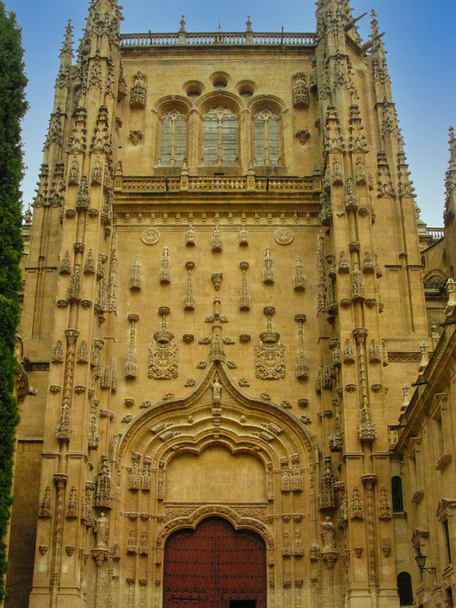 Detail van de gevel van de Nieuwe Kathedraal van Salamanca, Spanje - Foto, afbeelding