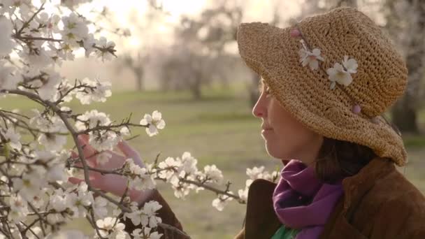 Mujer oliendo y tocando ramas de almendros florecientes en el campo de Madrid al atardecer.  - Metraje, vídeo