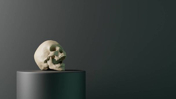 3D lidská lebka na soklu v tmavém prostředí, 3D ilustrace - Fotografie, Obrázek