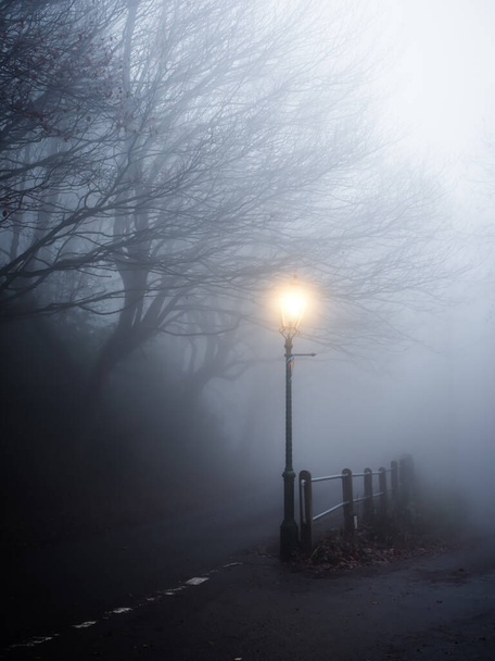Lámpara de gas en una carretera cubierta de niebla al amanecer. Árboles muertos de invierno crean siluetas a lo largo del camino - Foto, Imagen