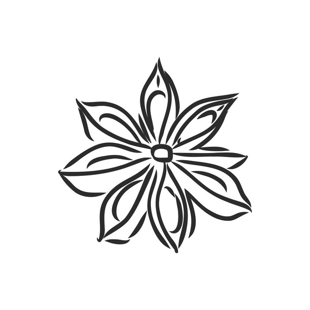 Beyaz arkaplanda el yapımı yıldız anason çizimi izole edildi. Baharat taslakları - Vektör, Görsel