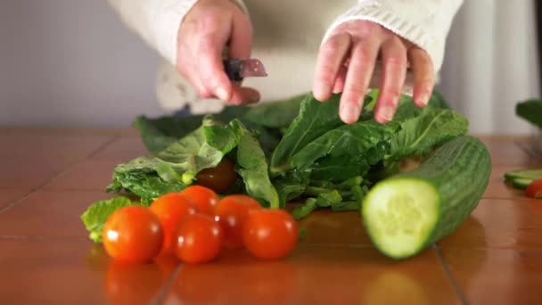 キッチンで健康的な新鮮な野菜を準備する - 映像、動画