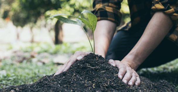 若い男は小さな苗をミネラル豊富な土壌に移植し、植物に水をやる準備をしました、植物は空気と土壌中の酸素を増加させ、地球を愛し、環境を保全するのを助けます - 写真・画像