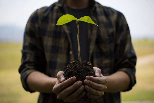 Jongeman hield een zaailing voor te bereiden om een boom te planten, Behoud of liefde voor het milieu of het onderhoud van de bodem, Bomen planten om zuurstof toe te voegen aan de lucht, Save world save life concept. - Foto, afbeelding