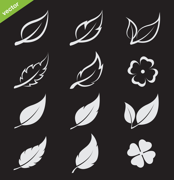 Vector leaves icon set  - Vector, Image